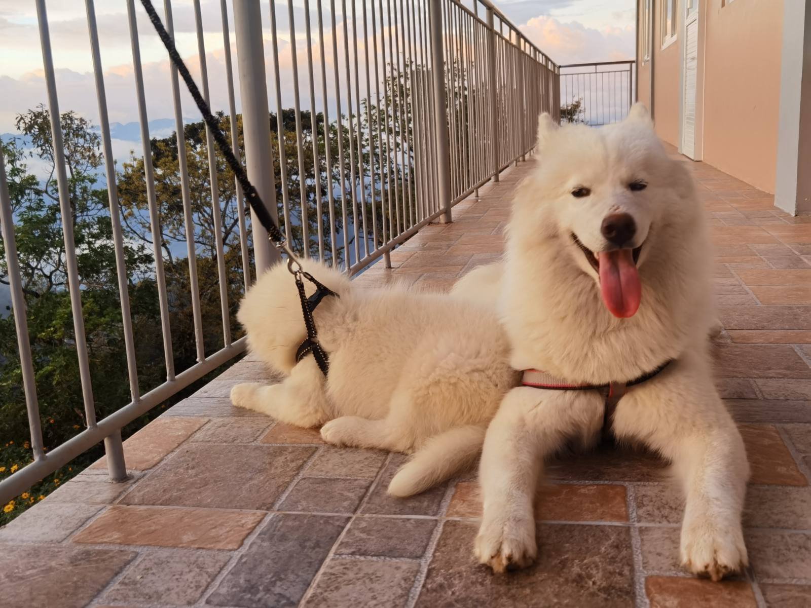 BDN members group photo